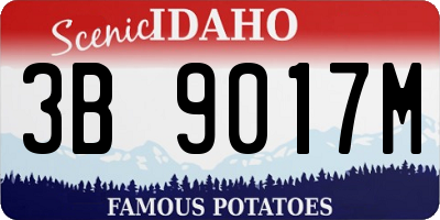 ID license plate 3B9017M