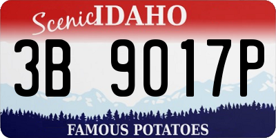 ID license plate 3B9017P