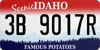 ID license plate 3B9017R