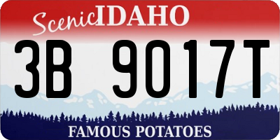 ID license plate 3B9017T