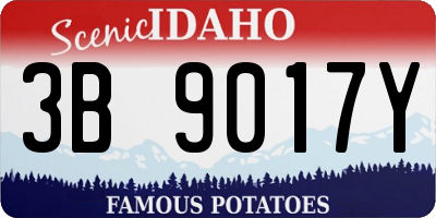 ID license plate 3B9017Y