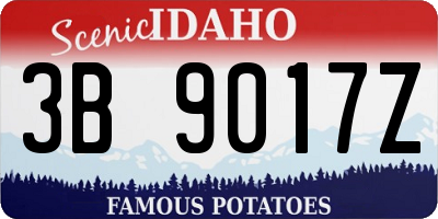ID license plate 3B9017Z