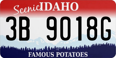 ID license plate 3B9018G