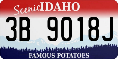 ID license plate 3B9018J
