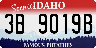 ID license plate 3B9019B
