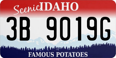 ID license plate 3B9019G