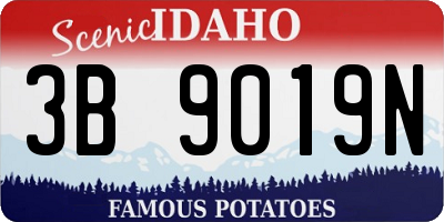 ID license plate 3B9019N