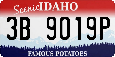 ID license plate 3B9019P
