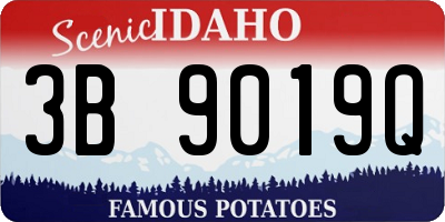 ID license plate 3B9019Q