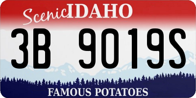 ID license plate 3B9019S