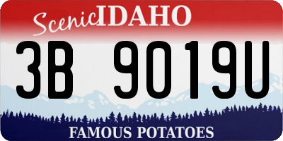 ID license plate 3B9019U