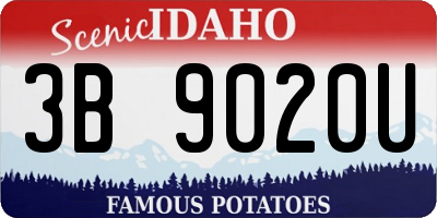 ID license plate 3B9020U
