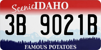 ID license plate 3B9021B