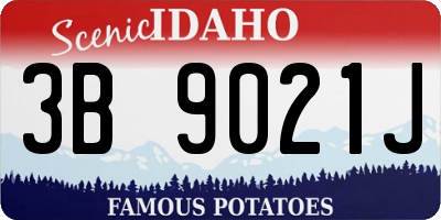 ID license plate 3B9021J