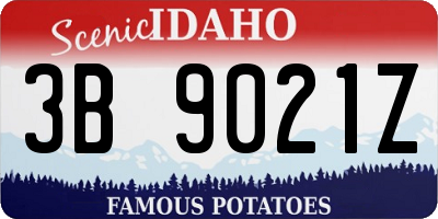 ID license plate 3B9021Z