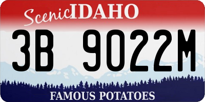 ID license plate 3B9022M