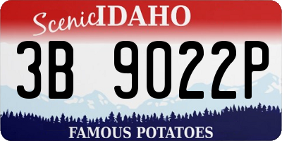 ID license plate 3B9022P