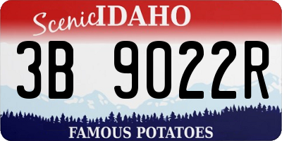 ID license plate 3B9022R