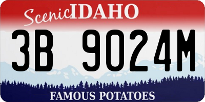 ID license plate 3B9024M