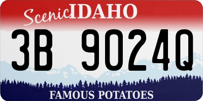 ID license plate 3B9024Q