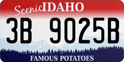 ID license plate 3B9025B