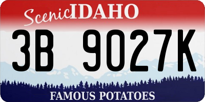 ID license plate 3B9027K