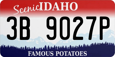 ID license plate 3B9027P