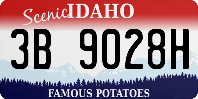 ID license plate 3B9028H