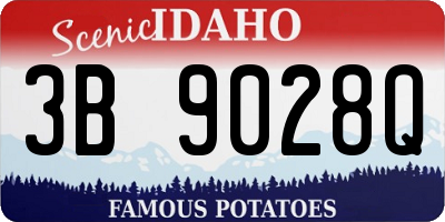 ID license plate 3B9028Q