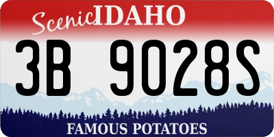 ID license plate 3B9028S