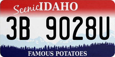 ID license plate 3B9028U