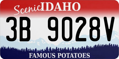 ID license plate 3B9028V