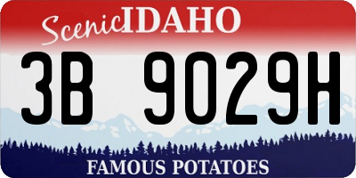 ID license plate 3B9029H