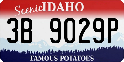 ID license plate 3B9029P