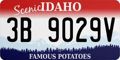 ID license plate 3B9029V