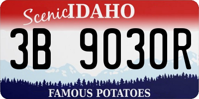 ID license plate 3B9030R