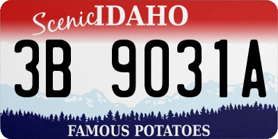 ID license plate 3B9031A