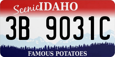 ID license plate 3B9031C