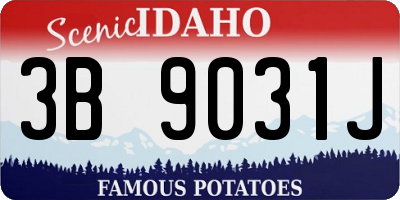 ID license plate 3B9031J