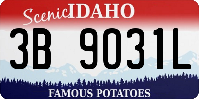 ID license plate 3B9031L