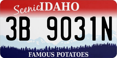 ID license plate 3B9031N