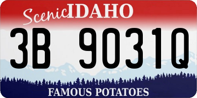 ID license plate 3B9031Q