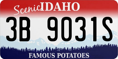ID license plate 3B9031S