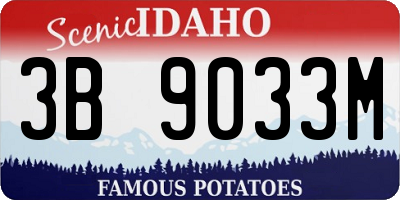 ID license plate 3B9033M