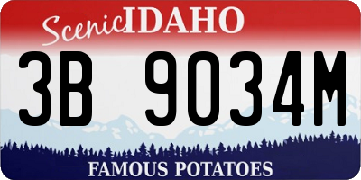 ID license plate 3B9034M