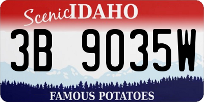 ID license plate 3B9035W