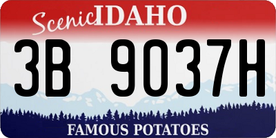 ID license plate 3B9037H