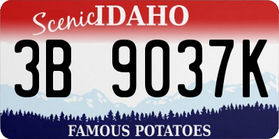 ID license plate 3B9037K