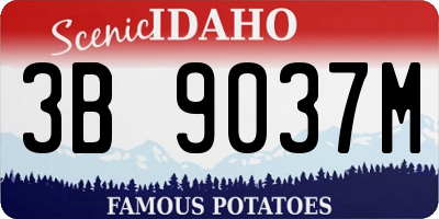 ID license plate 3B9037M