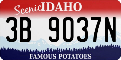 ID license plate 3B9037N